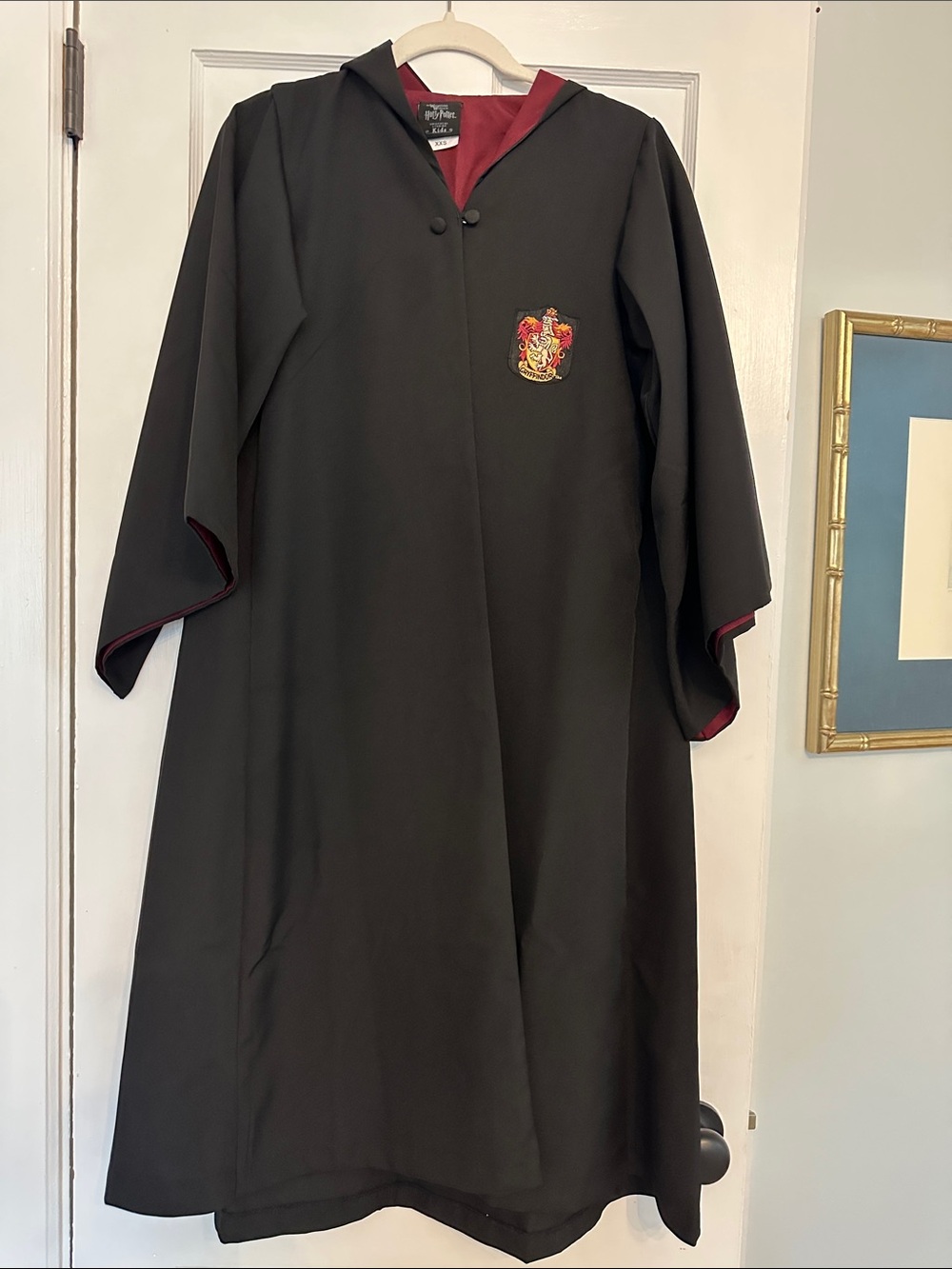 Gryffindor Wizard Robe with Hood - Black with Red Lining